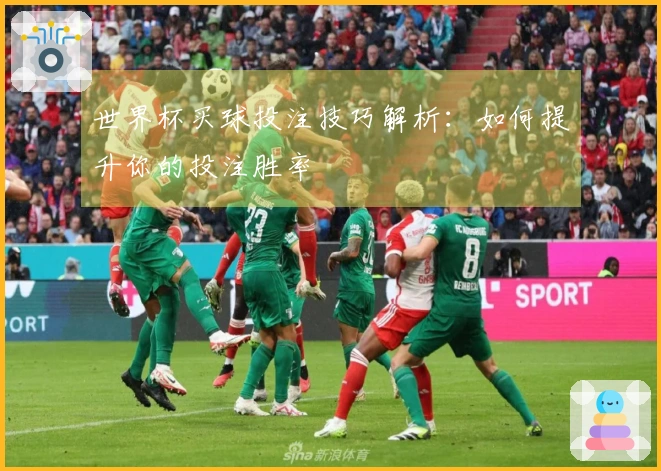 世界杯买球投注技巧解析：如何提升你的投注胜率
