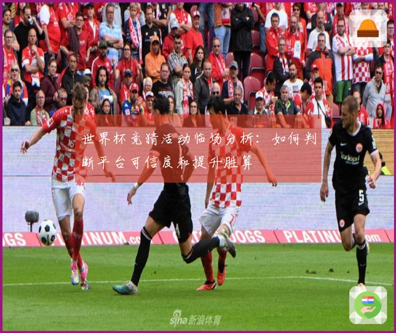 世界杯竞猜活动临场分析：如何判断平台可信度和提升胜算