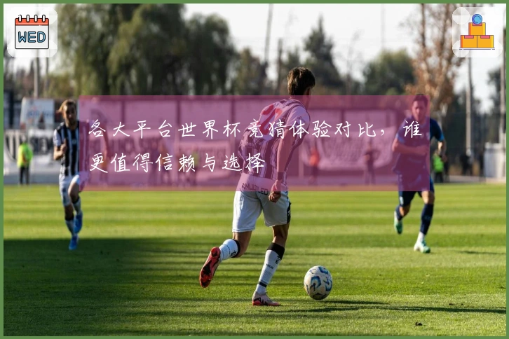 各大平台世界杯竞猜体验对比，谁更值得信赖与选择