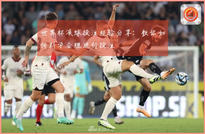 世界杯滚球投注经验分享：教你如何科学合理进行投注